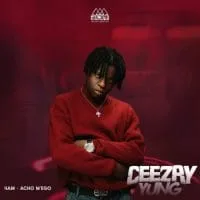 Ceezay Yung: Late Night Atmosphere