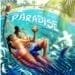 Paradise Vibes: The Afro Dancehall Anthem of Summer