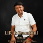 Chinedu - Stunning Life Reimagined