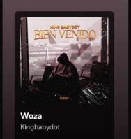 Woza oleh King Babydot